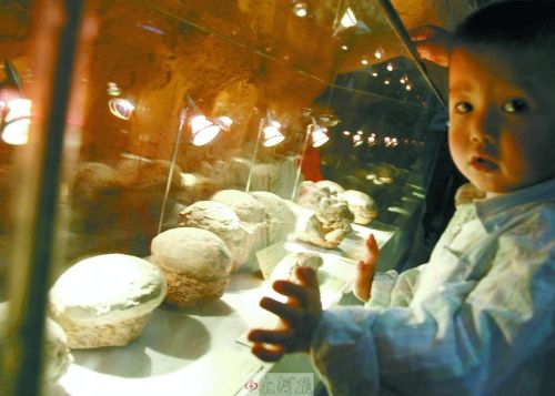 恐龍蛋，這回見(jiàn)識(shí)了吧！