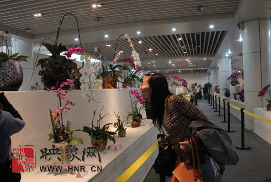 “溫馨九九重陽(yáng)節(jié) 陪著父母去游園”活動(dòng)圓滿舉行