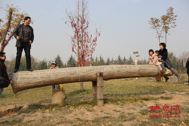 巨大的蹺蹺板，一棵樹。。?？赐娴亩噜? oldsrc=