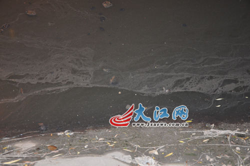 19日晚上的玉帶河，紅色河水變回灰綠色。