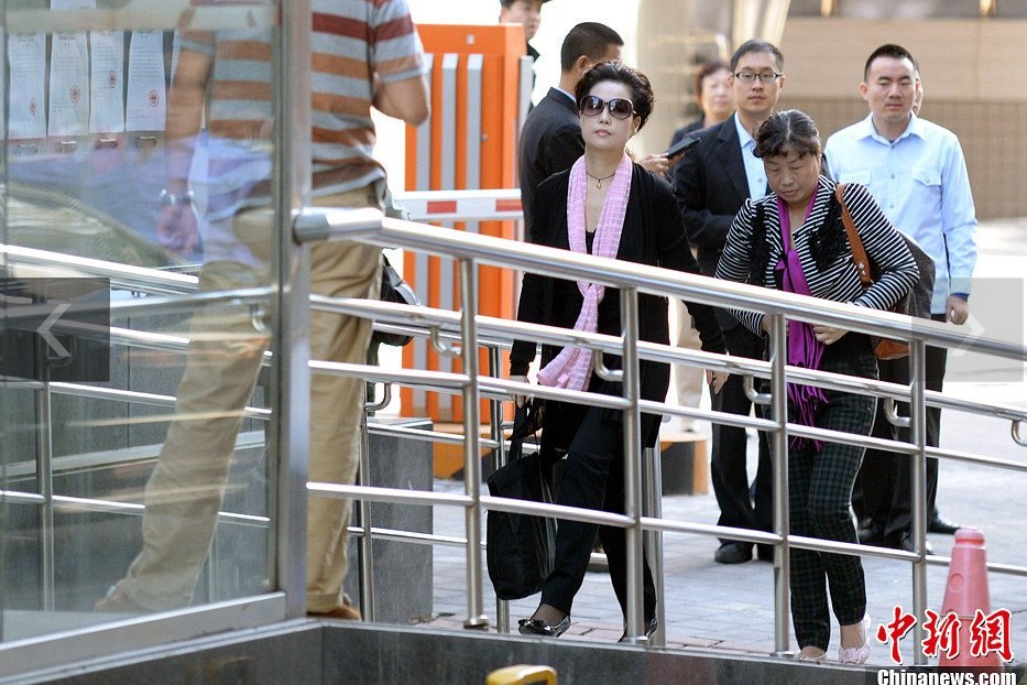 夢(mèng)鴿現(xiàn)身海淀法院。中新網(wǎng)記者 金碩 攝