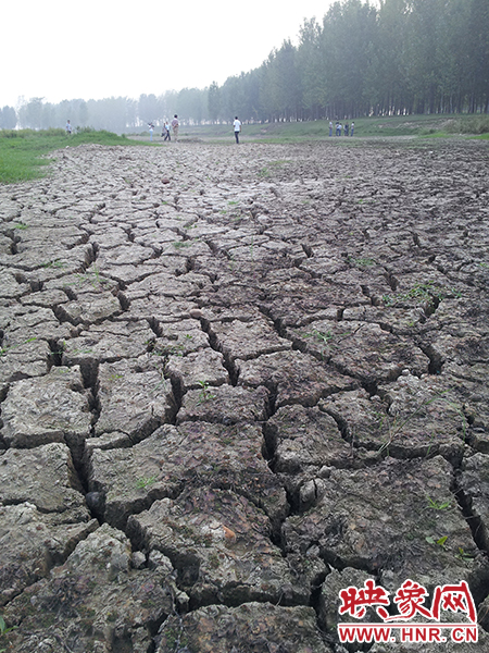 澎河匯入白龜山水庫處，河床已經(jīng)全部干裂，等待丹江水的到來。