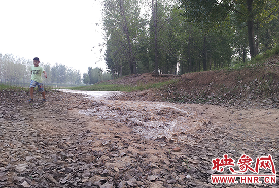 18日丹江水沿澎河流向白龜山水庫，孩子歡騰起來，跟著水頭奔跑。