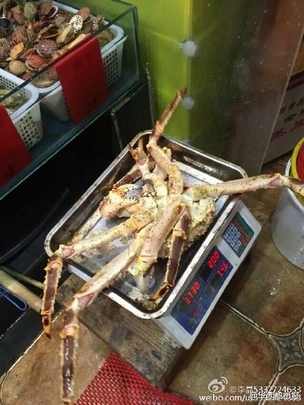 網(wǎng)友提供圖片。