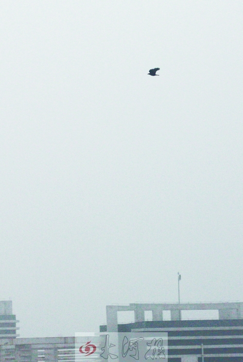 全省35個縣市發(fā)布惡劣天氣預(yù)警信號，其中15個發(fā)布大霧紅色預(yù)警