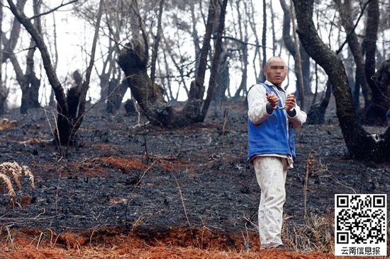 山林被燒得滿目瘡痍。