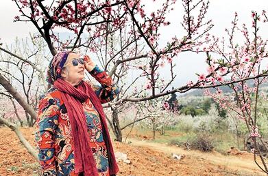 公式“時(shí)尚奶奶”的賞花照，收獲了好多人的點(diǎn)贊。 受訪者供圖
