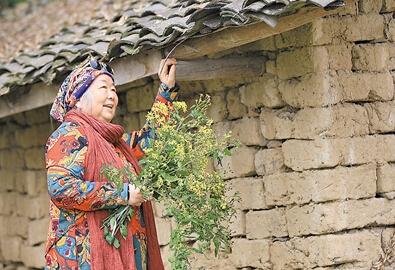 公式“時(shí)尚奶奶”的賞花照，收獲了好多人的點(diǎn)贊。 受訪者供圖