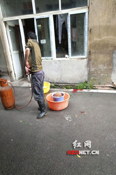 5月8日，男子在校園里殺狗，地上殘留一塊血跡。目擊者供圖。