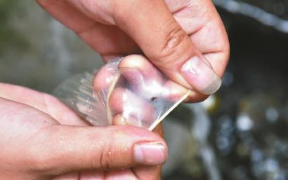 避孕套存在小孔。