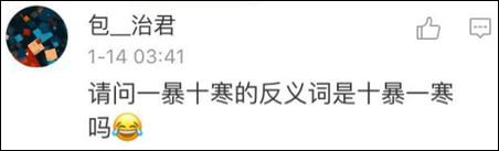 鶴立雞群？雞立鶴群！