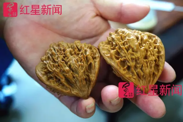 文玩核桃遇冷由幾萬一對降到5元沒人要？商戶否認(rèn)