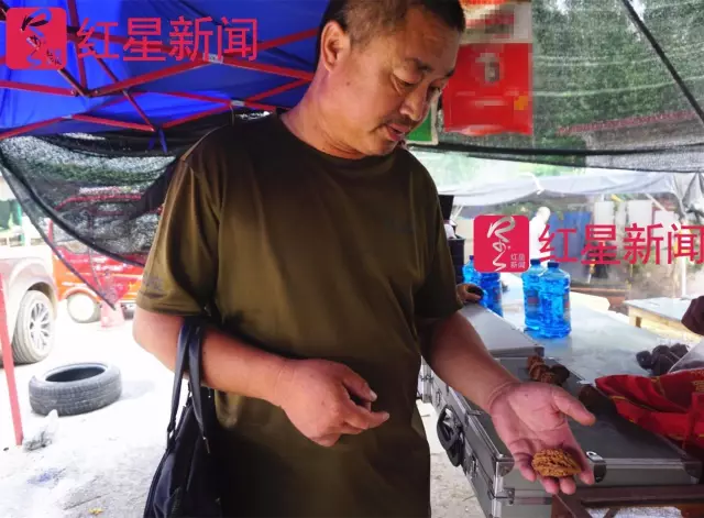 文玩核桃遇冷由幾萬一對降到5元沒人要？商戶否認(rèn)