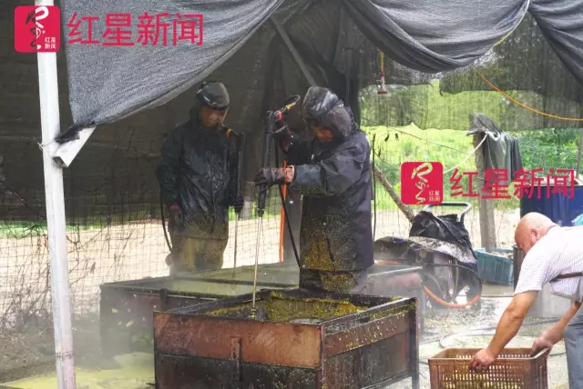 文玩核桃遇冷由幾萬一對降到5元沒人要？商戶否認(rèn)