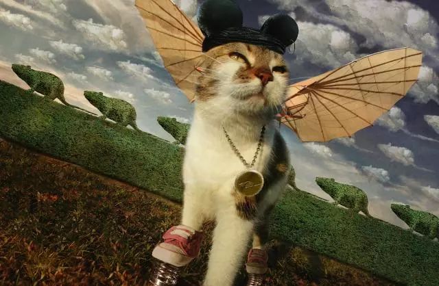 一只虛擬寵物貓叫價13億元？云養(yǎng)貓成真