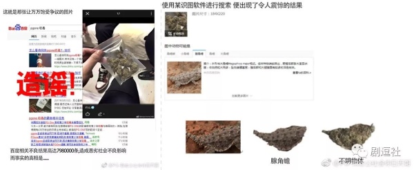 PGone又教給我們一個新詞：虐粉。