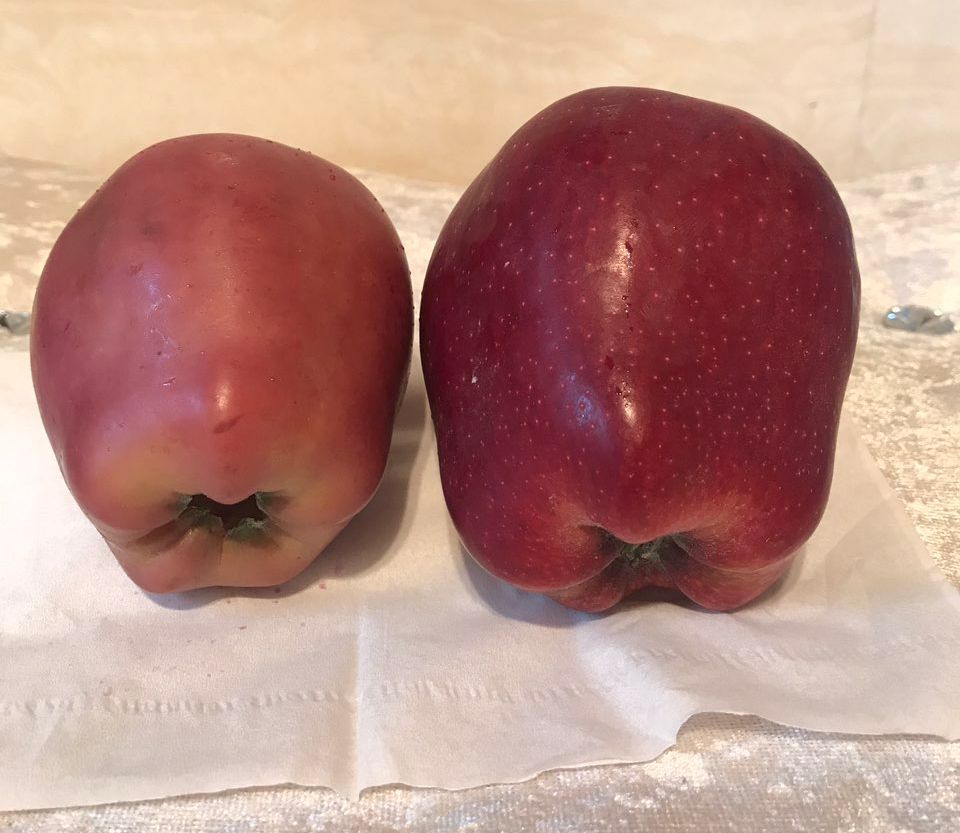 嚇懵！女子用熱水泡蘋果結(jié)果冒出血珠 咋回事？