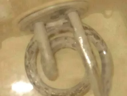 太惡心！女游客竟用酒店燒水壺煮自己的臟內(nèi)褲