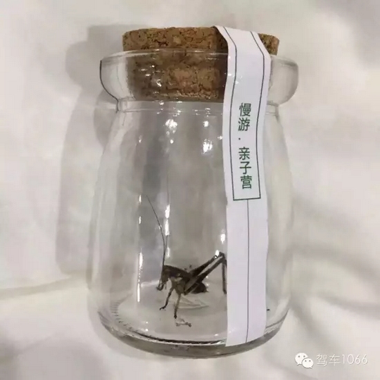 看看我的成果吧！