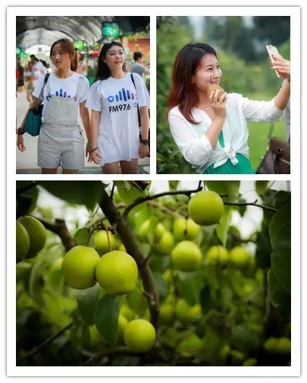 美女與香梨，你更愛哪一個？！