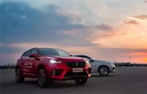 去年“蹦”出來的新汽車品牌們，現(xiàn)在活得怎么樣了？