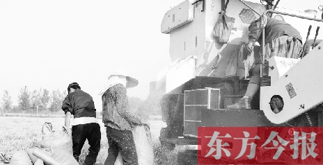 李正厚的妻子鮑本華（右）和一位村民拎著麻袋來(lái)到收割機(jī)前，接住傾倒出來(lái)的麥粒