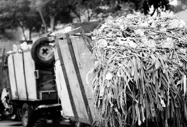 垃圾車(chē)、渣土車(chē)再在市區(qū)“裸奔”就是違法了