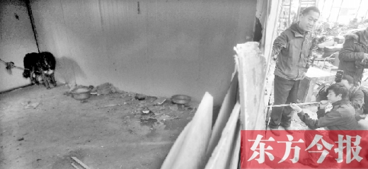 12月4日，鄭州市未來路與隴海路交叉口西側(cè)，執(zhí)法人員用吹管麻醉針對付一只藏獒