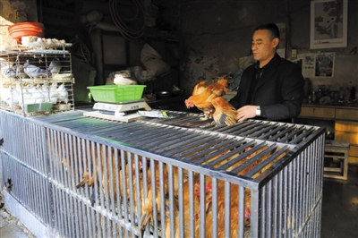 南京另一家農(nóng)貿(mào)市場(chǎng)內(nèi)待售的活雞。因南京出現(xiàn)H7N9禽流病例，買活雞的顧客減少。