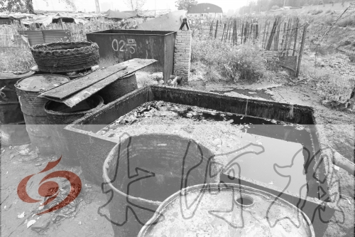 　　骯臟、令人作嘔的油桶凌亂地?cái)[放在院子里，為了避免視覺(jué)刺激，我們把它做成了黑白圖片。