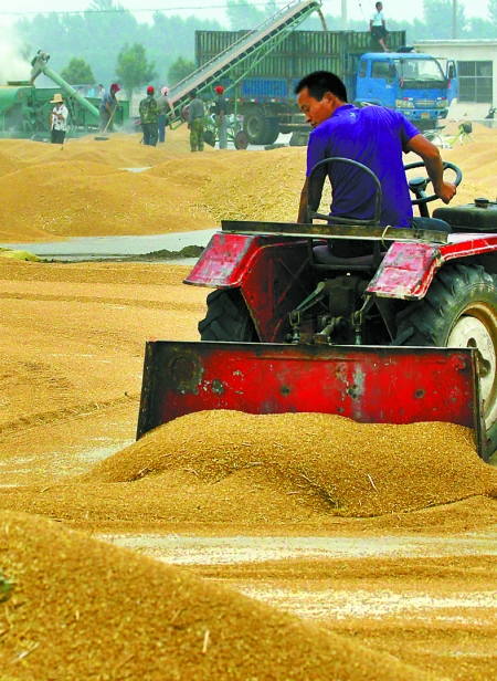 精心晾曬，散倉(cāng)入庫(kù)。