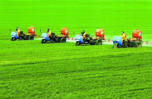 車載噴霧機奔駛在萬畝高產(chǎn)田里。