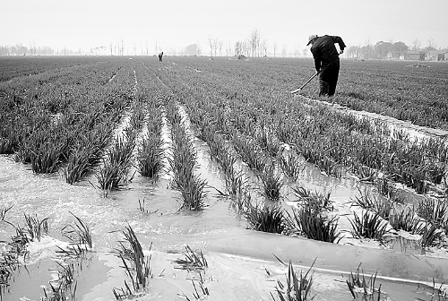 3月25日，濮陽縣郎中鄉(xiāng)大趙寨村農(nóng)民在為小麥澆水。連日來，濮陽縣廣大農(nóng)民不誤農(nóng)時，及時為麥田施肥、澆