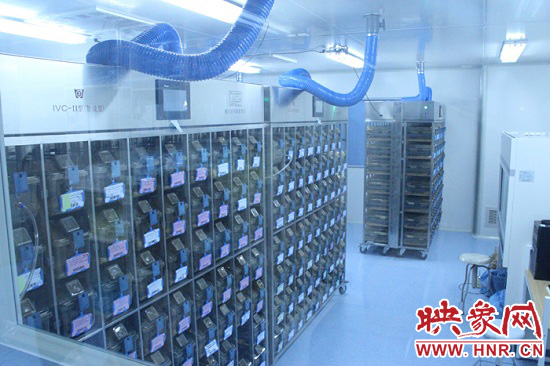 “鼠村”里每一個(gè)籠子是一家。“村”里住著1萬只左右的小鼠