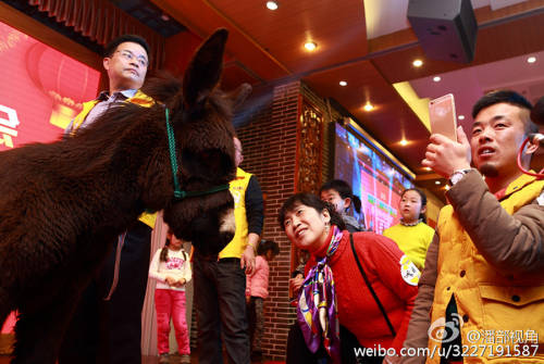 江蘇一公司奇葩年會:當場領(lǐng)牲畜 江蘇一公司奇葩年會:當場領(lǐng)牲畜