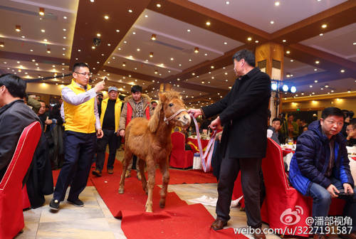 江蘇一公司奇葩年會:當場領(lǐng)牲畜 江蘇一公司奇葩年會:當場領(lǐng)牲畜