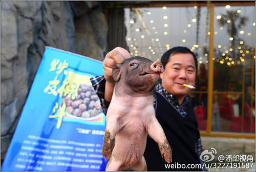 江蘇一公司奇葩年會:當場領(lǐng)牲畜 江蘇一公司奇葩年會:當場領(lǐng)牲畜