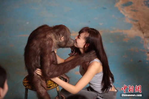 學生參加校花校草大賽 穿比基尼秀身材