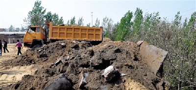 垃圾將生態(tài)涵養(yǎng)林給埋住了。