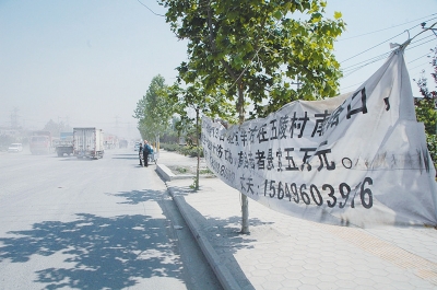 新鄉(xiāng)一不到兩公里省道被挖18條溝 國(guó)道"借"省道存隱患