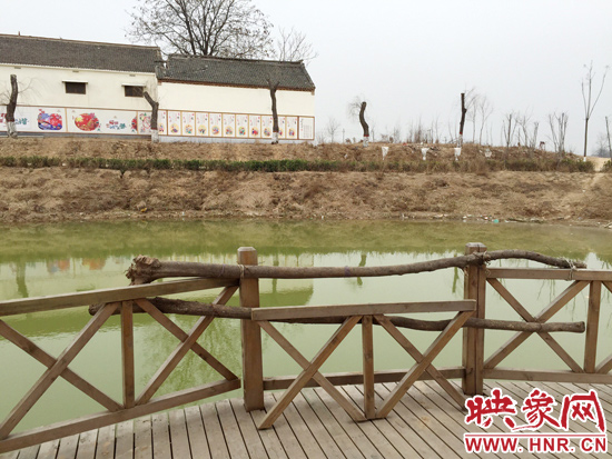 護(hù)欄損毀的地方，已經(jīng)被兩根樹(shù)干擋住。