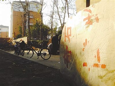 昨日，“上海奇石盆景博物館”原址上，已矗立起小區(qū)樓盤，而刻著博物館名的巨石，廢棄在一旁。本版圖片/新京報記者 張永生 攝