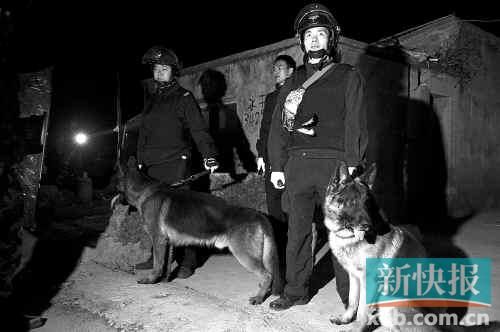 緝毒犬協(xié)助警方搜查毒品。