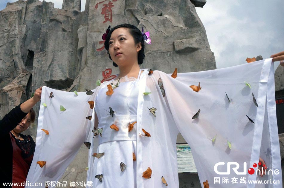 “蝴蝶仙子”身穿上百只剛剛扎死的蝴蝶。圖片來源：老祝/東方IC