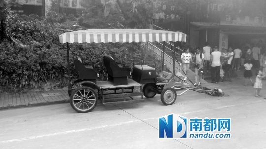 園方則稱解剖后發(fā)現(xiàn)馬死于心臟衰竭，“與累無關(guān)”。