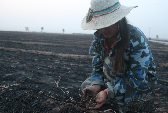 村民們眼巴巴看著豐收的小麥“葬身”火海，心疼不已。