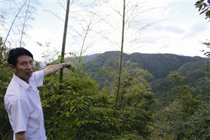 村民吳學田告訴記者，對面兩座山就是潘建友承包的部分山場 見習記者 邱一文 攝