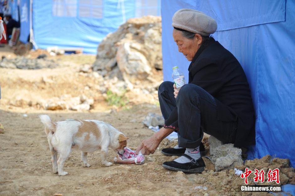 8月6日，一名老人將剛領(lǐng)到的礦泉水分給小狗。