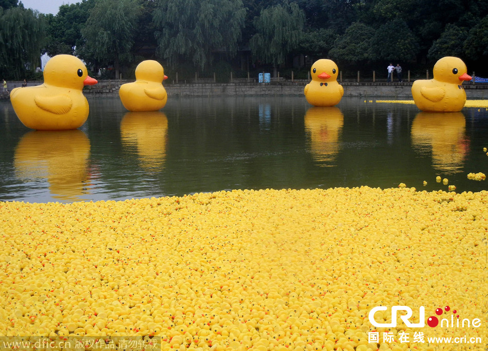 大黃鴨攜3萬(wàn)只“鴨寶寶”集體亮相蘇州