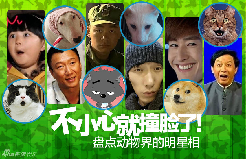 不小心就撞臉了！盤點(diǎn)動(dòng)物界的明星相
